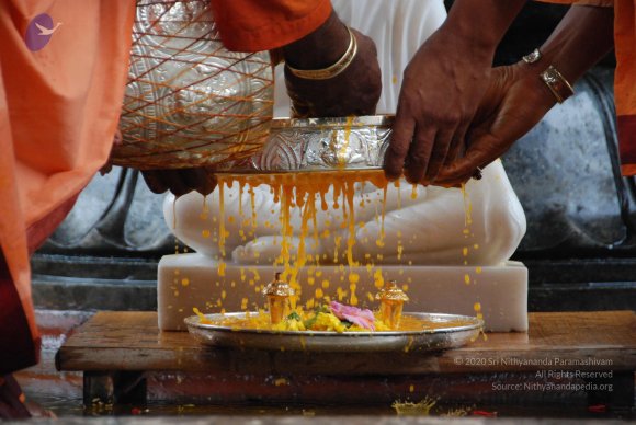 20090929_Photo_1077_DSC_3210_CMP_WM