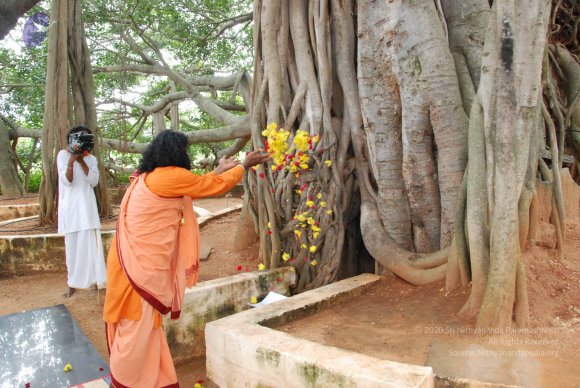 20090929_Photo_1048_DSC_3176_CMP_WM