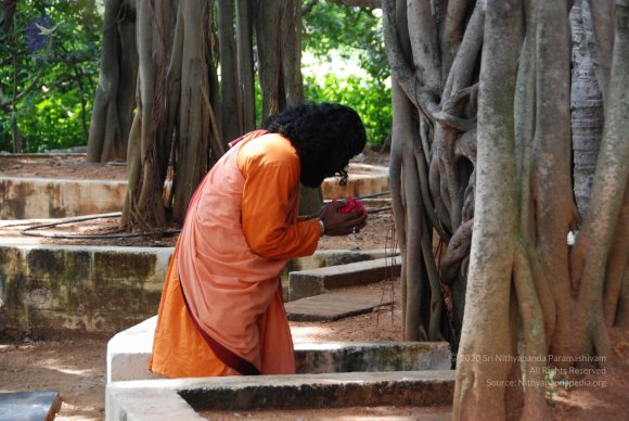 20090929_Photo_1062_DSC_3083_CMP_WM