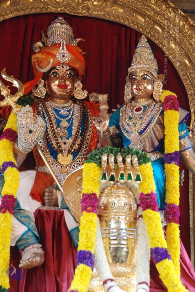 20100830_Photo_1007_DSC_1849_CMP_WM