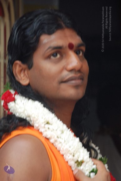 20100830_Photo_1036_DSC_1828_CMP_WM