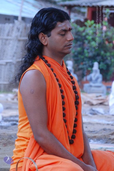 20100830_Photo_1052_DSC_1504_CMP_WM