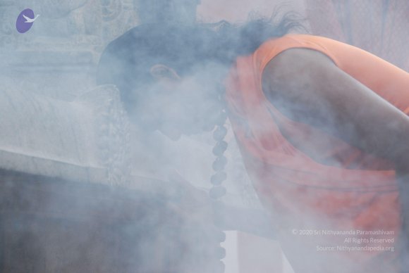 20100830_Photo_1068_DSC_1522_CMP_WM