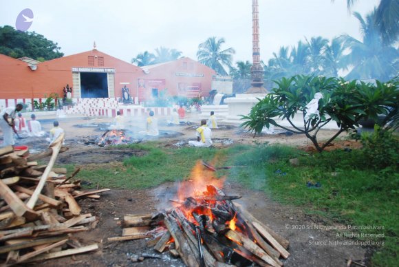 20100808_Photo_1004_DSC_9802_CMP_WM