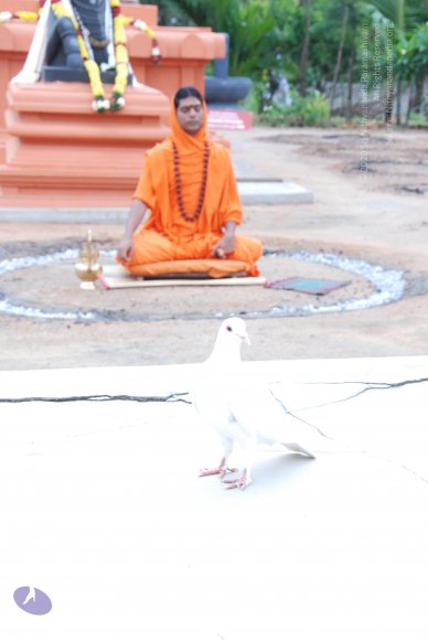 20100808_Photo_1036_DSC_7226_CMP_WM