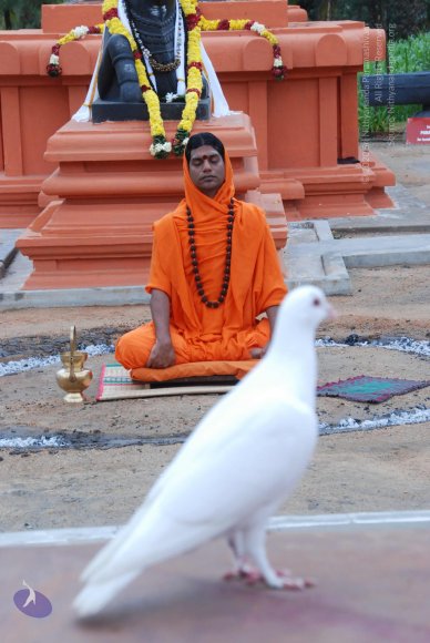 20100808_Photo_1068_DSC_7231_CMP_WM