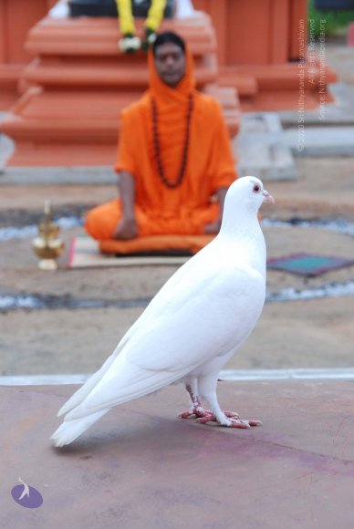 20100808_Photo_1087_DSC_7234_CMP_WM