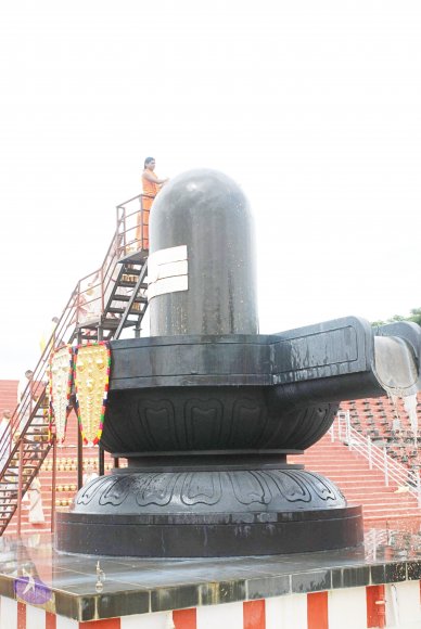 20100808_Photo_1000_DSC_7513_CMP_WM