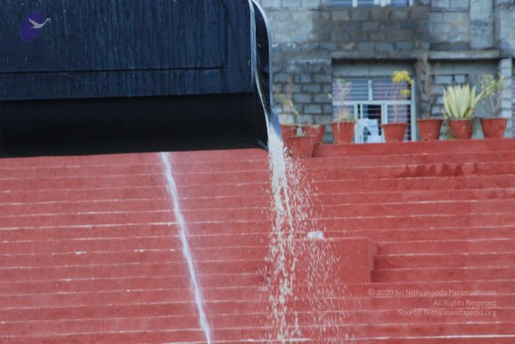 20100808_Photo_1066_DSC_7663_CMP_WM