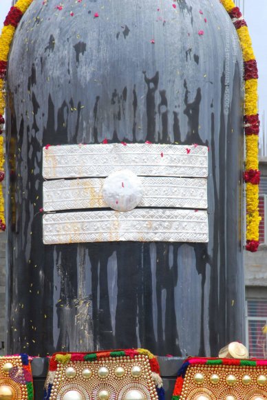 20100808_Photo_1076_DSC_7747_CMP_WM