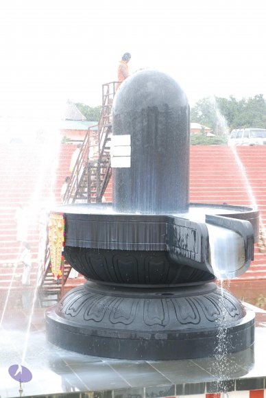 20100808_Photo_1130_DSC_7508_CMP_WM