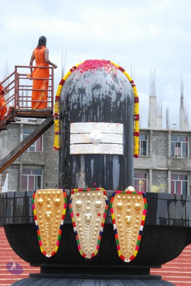 20100808_Photo_1203_DSC_7737_CMP_WM