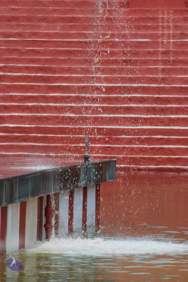 20100808_Photo_1235_DSC_7646_CMP_WM