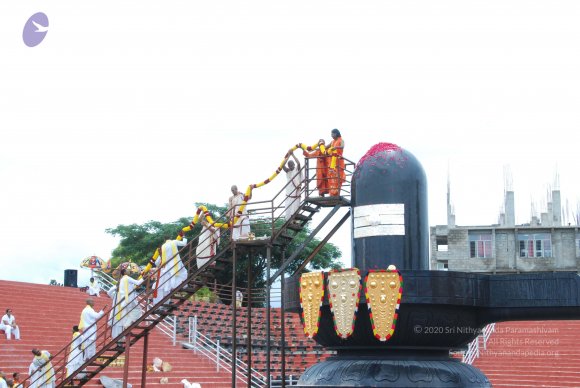 20100808_Photo_1270_DSC_7686_CMP_WM