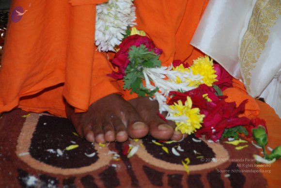 20100808_Photo_1041_DSC_7008_CMP_WM