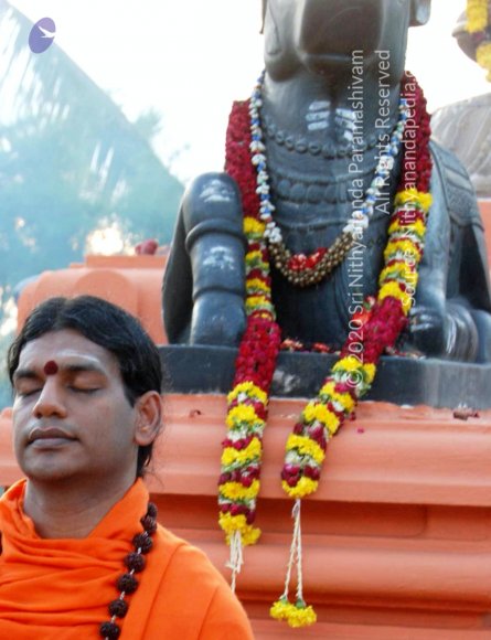 20100812_Photo_1006_DSC_1975_CMP_WM