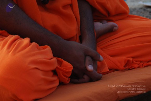 20100812_Photo_1009_DSC_2002_CMP_WM