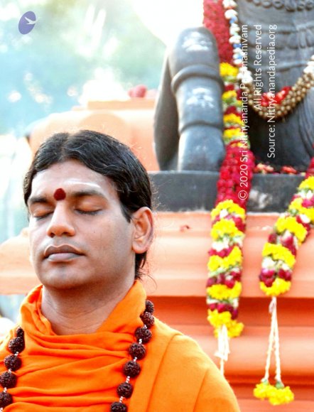 20100812_Photo_1040_DSC_1983_CMP_WM