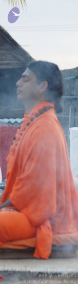 20100812_Photo_1050_DSC_1968_CMP_WM