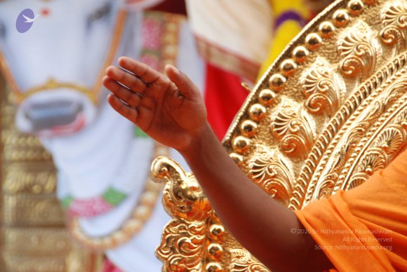 20100813_Photo_1028_DSC_2289_CMP_WM