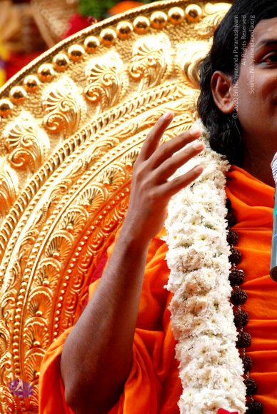 20100813_Photo_1029_DSC_2290_CMP_WM