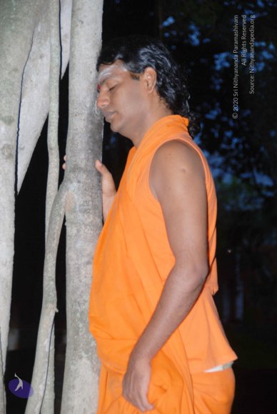 20100813_Photo_1007_DSC_2157_CMP_WM