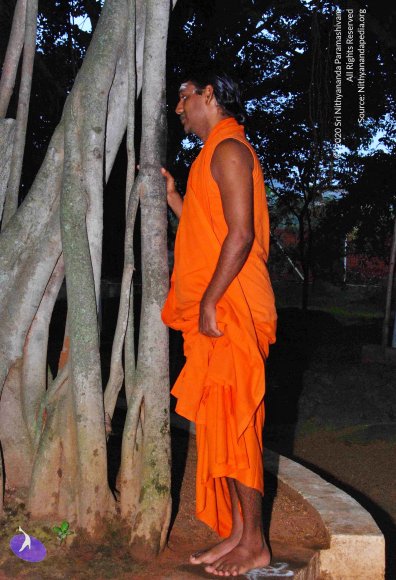 20100817_Photo_1021_DSC_3664_CMP_WM