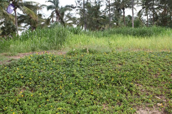 20100817_Photo_1183_IMG_9330_CMP_WM