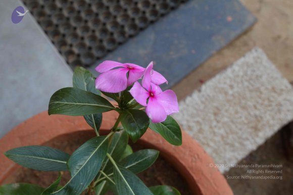 20100817_Photo_1213_IMG_9315_CMP_WM