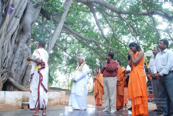 20100817_Photo_1287_DSC_4253_CMP_WM