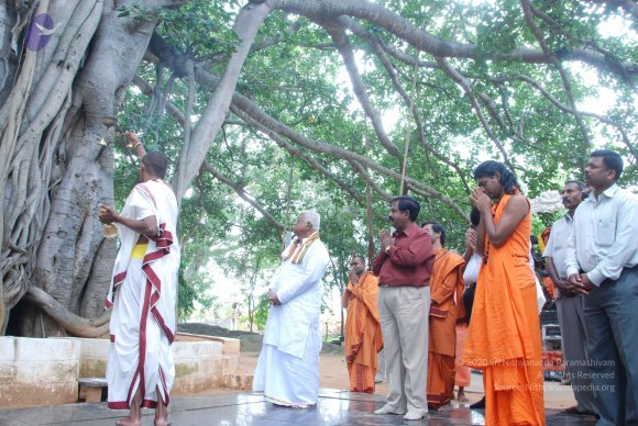 20100817_Photo_1295_DSC_4254_CMP_WM