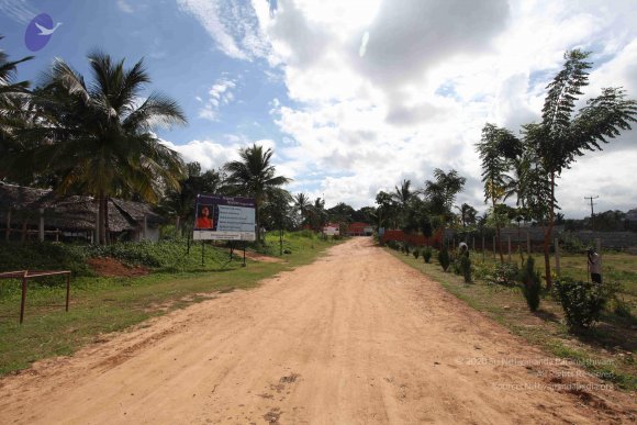 20100817_Photo_1344_IMG_9328_CMP_WM