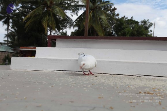 20100817_Photo_1354_IMG_9334_CMP_WM