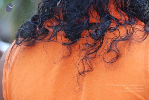 20100817_Photo_1355_DSC_4068_CMP_WM