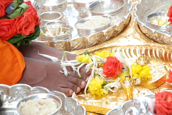 20100818_Photo_1059_DSC_4556_CMP_WM