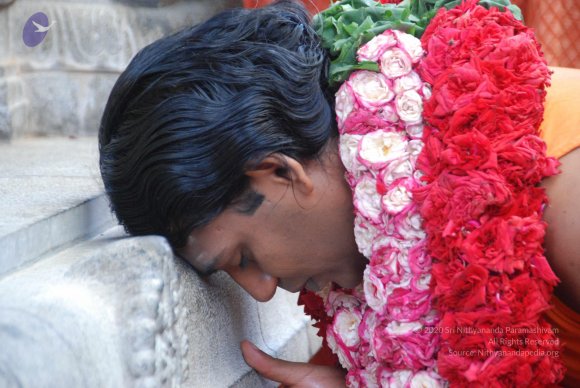 20100821_Photo_1001_DSC_6218_CMP_WM