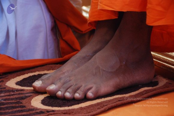 20100821_Photo_1021_DSC_6132_CMP_WM