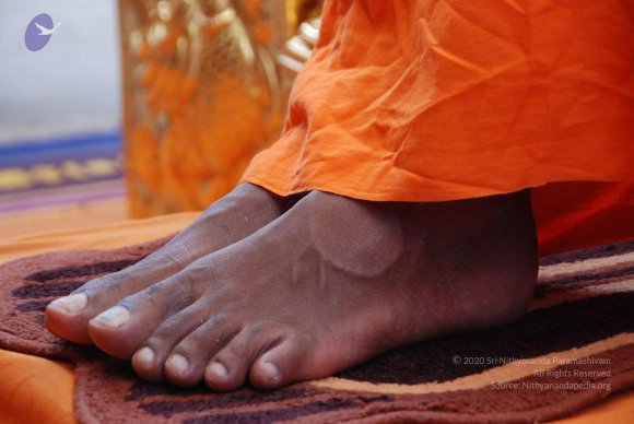 20100821_Photo_1049_DSC_6134_CMP_WM