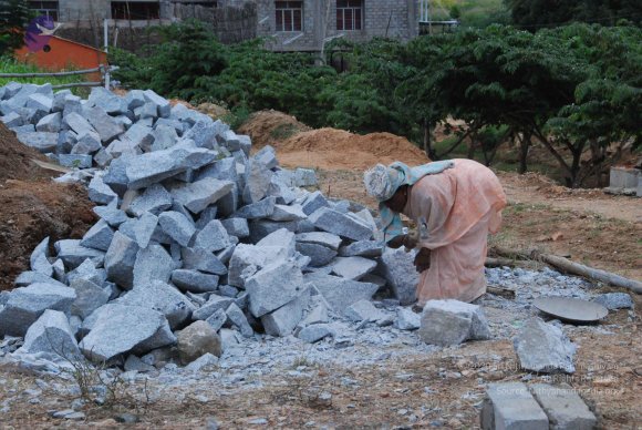 20100821_Photo_1016_DSC_6257_CMP_WM