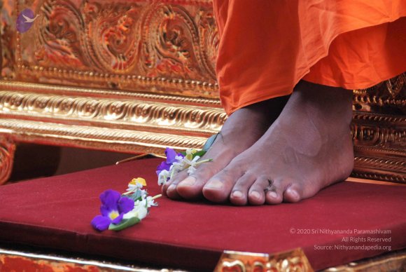 20100826_Photo_1092_DSC_9030_CMP_WM