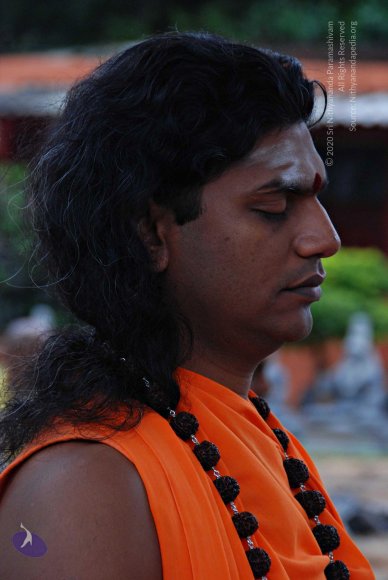 batch_20100829_0365_CMP_WM