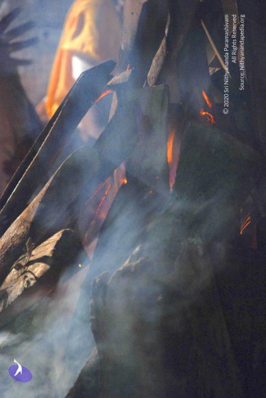 20100831_Photo_1014_DSC_2940_CMP_WM