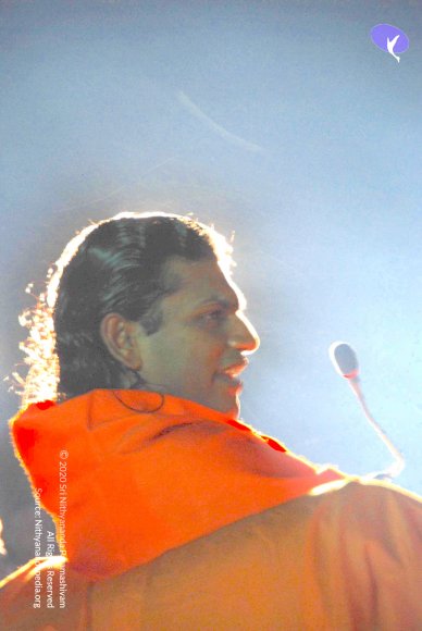 20100831_Photo_1091_DSC_3020_CMP_WM