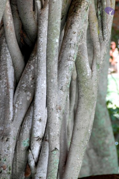 20100831_Photo_1001_DSC_2739_CMP_WM