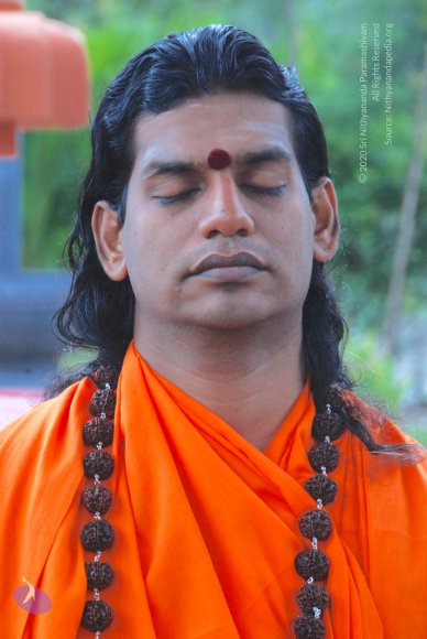 20100831_Photo_1012_DSC_2558_CMP_WM