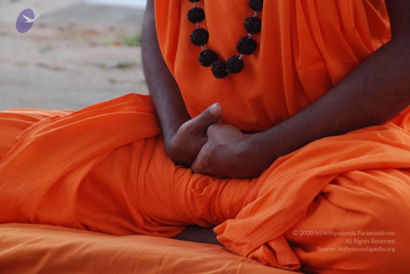 20100831_Photo_1034_DSC_2580_CMP_WM