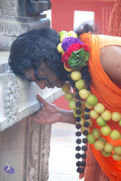 20100831_Photo_1011_DSC_2718_CMP_WM