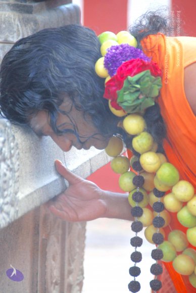 20100831_Photo_1012_DSC_2719_CMP_WM