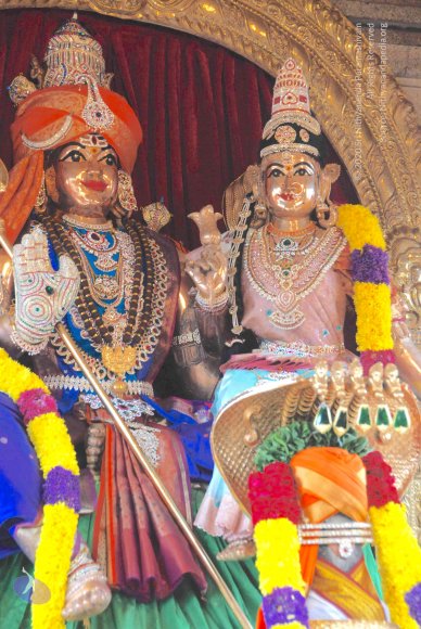 20100831_Photo_1018_DSC_2725_CMP_WM