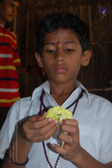 DSC_0253_CMP_WM